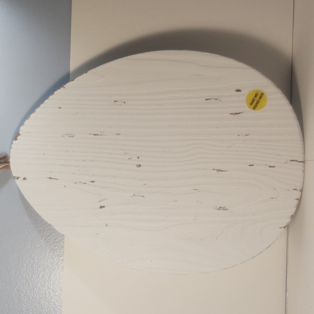 Paint DIY Wall Decor Egg/Oval Shape